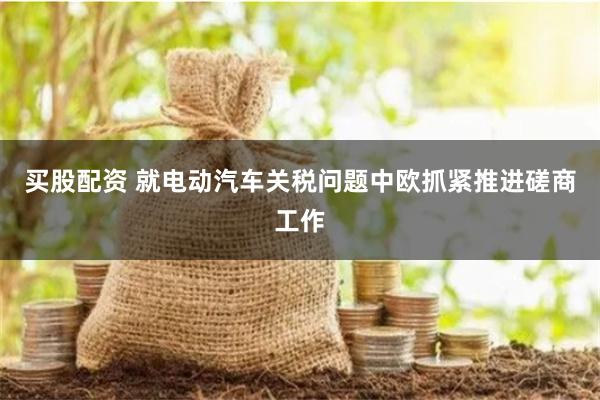 买股配资 就电动汽车关税问题中欧抓紧推进磋商工作