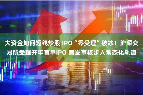 大资金如何短线炒股 IPO“零受理”破冰！沪深交易所受理开年首单IPO 首发审核步入常态化轨道