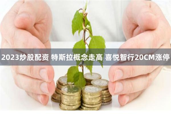 2023炒股配资 特斯拉概念走高 喜悦智行20CM涨停